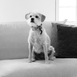 Rosquilla // Creative Director